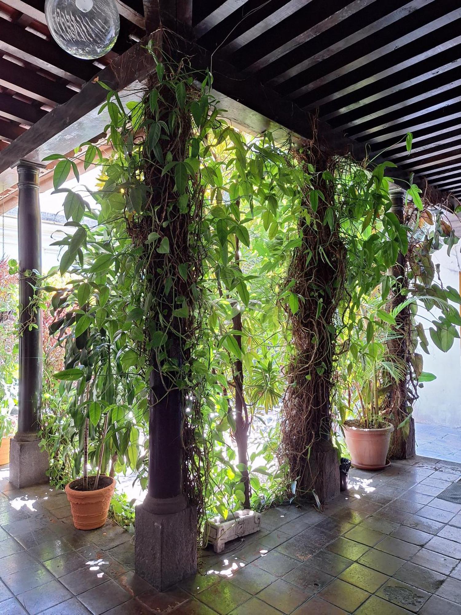 Hotel Spring Guatemala City Exterior foto